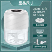 電動蒜泥神器 切蒜器 搗蒜器 迷你攪碎機 250ml - (多色選擇) (i968)